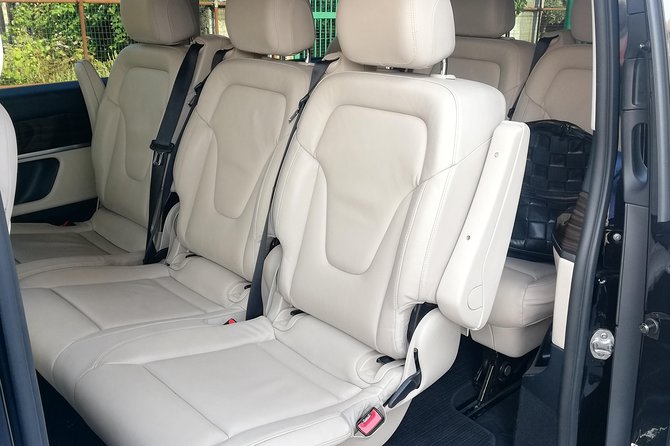 Private Transfer POSITANO to ROME or vv (Pompeii stop optionable) - Pompeii Stop Option: Sightseeing During Transit