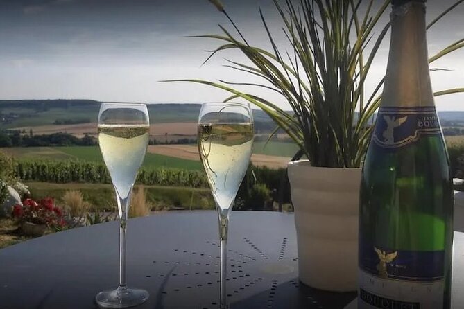 Private Transfer: Reims / Champagne to Paris Airport CDG by Van - Premium Vehicles and Comfort Features