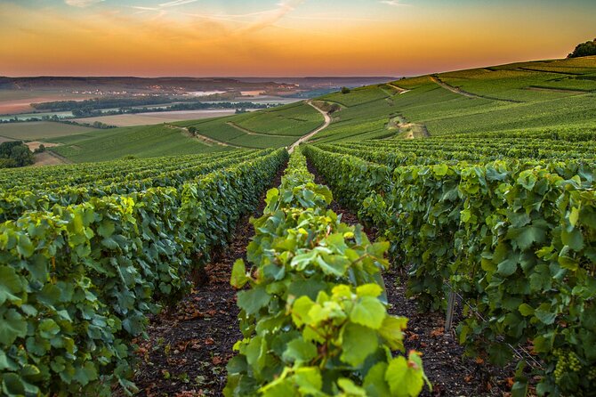 Private Transfer: Reims / Champagne to Paris Airport CDG by Van - Booking and Flexibility with Cancellation Policy