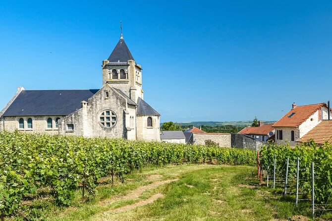 Private Transfer: Reims / Champagne to Paris Airport CDG by Van - Comparing Value to Other Transportation Options