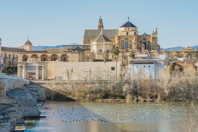 Private Transfer Seville to Granada with a Tour of Cordoba/Mosque - Real-World Feedback and Guide Quality