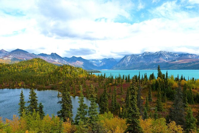 Private Transfer, Seward Cruise ship to Anchorage - The One Review Speaks Volumes