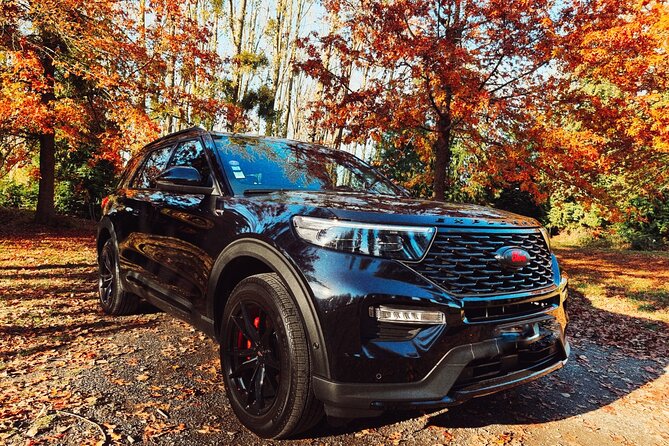 Private transfer to Reims or Epernay : one way OR 8 hours tour - Key Points