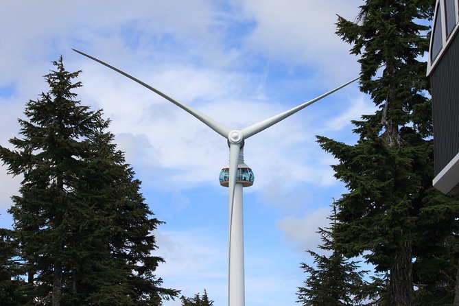 Private Transfer, Vancouver, BC to Vancouver Cruise Ship Terminal, VIP SUV - Flexibility and Cancellation Policies