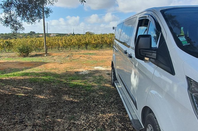 Private transfers between Faro and Portimão/Praia da Rocha - Final Thoughts on the Faro to Portimão/Praia da Rocha Private Transfer