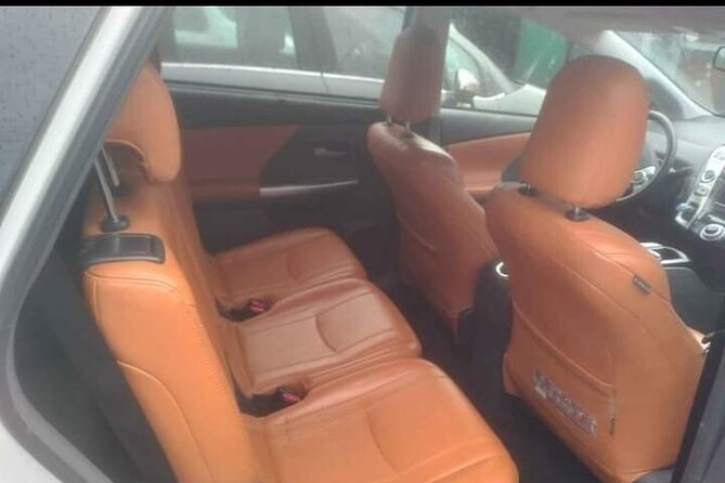 Private Transport from Charles de Gaulle Airport to Paris - Accessibility and Additional Considerations