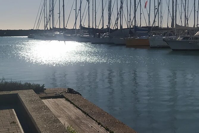 Private Transport from Civitavecchia Port to Rome or vice versa - Consistent Punctuality and Customer Satisfaction