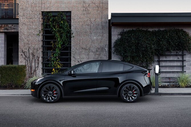 Private transport from Paris to Charles de Gaulle airport - Booking and Cancellation: Easy and Flexible