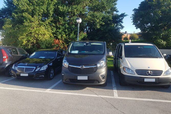 Private Transport from Ponta Delgada Joao Paulo II Airport to hotels - Who Is This Transfer Best Suited For?