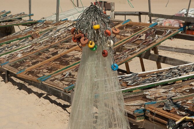 Private Transport Lisbon - Porto or Porto - Lisbon with 3 Stops - Who Will Appreciate This Tour?