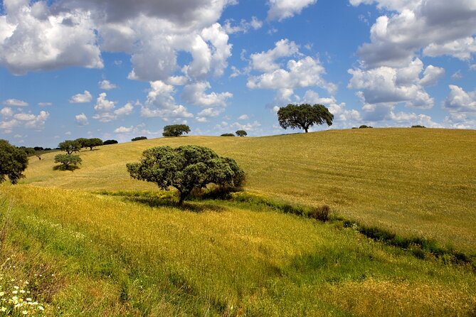 Private Transport Lisbon-Seville with 2 Stops on the Way - The Booking and Cancellation Process