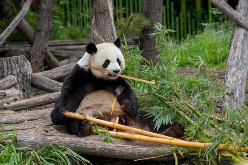 Private Transport to Berlin Zoo with Skip-the-line Ticket - Family-Friendly Atmosphere and Educational Opportunities