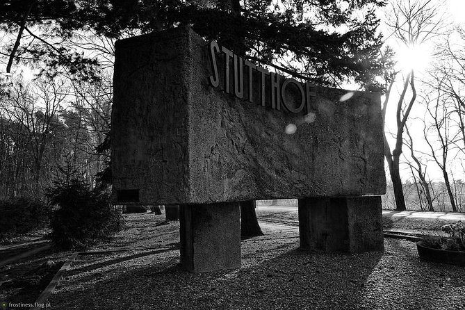 Private Transportation from Cruise Ship Port of Gdynia to Stutthof Camp 5-Hour - Notable Features and Customer Satisfaction