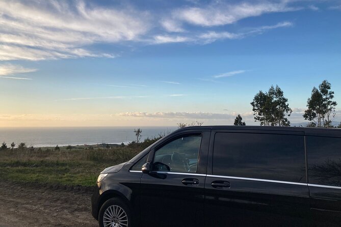 Private Transportation from Granada City to Malaga Airport - Accessibility and Ease of Use