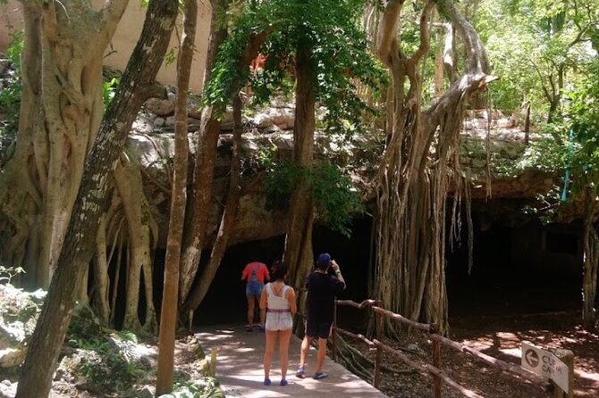 Private Transportation to Chichen Itza  Transportation Only - Booking and Confirmation Process for a Smooth Experience