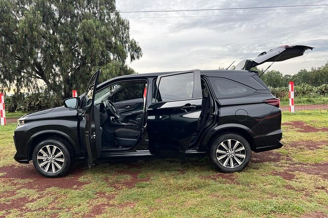 Private Transportation to Teotihuacan from CDMX - Physical Requirements and Accessibility