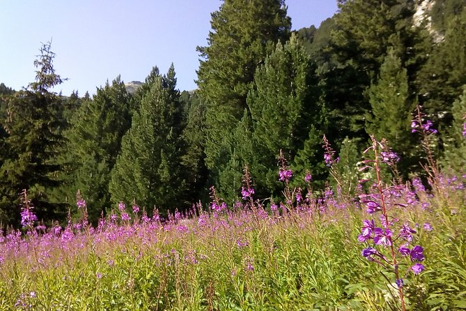 Private Trekking in Rila Mountains and Mt Mousala from Sofia - Starting Point and Transport from Sofia to Borovets