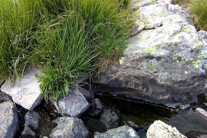 Private Trekking in Rila Mountains and Mt Mousala from Sofia - What to Bring and Physical Requirements