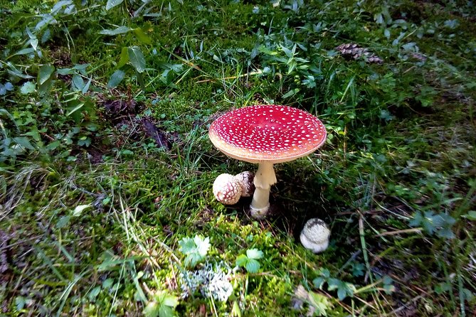 Private Trekking in Rila Mountains and Mt Mousala from Sofia - Why This Tour Stands Out in Bulgaria