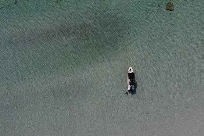 Private Trip Espiritu Santo Island - The Guides and Crew: Marine Biologists and Skilled Captains