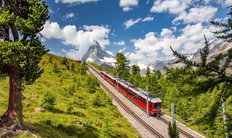 Private trip from Zurich to Grindelwald & Interlaken - Who Will Enjoy This Private Swiss Escape?