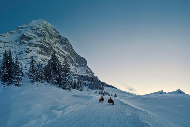 Private trip from Zurich to Jungfraujoch (The Top of Europe) - An Exclusive Journey to the Top of Europe for Up to Three Travelers