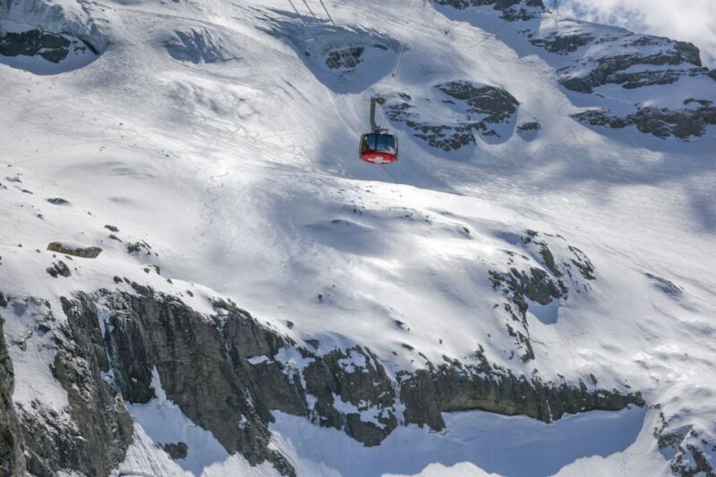 Private Trip from Zurich to Mount Titlis through Lucerne - Who Will Appreciate This Tour Most?