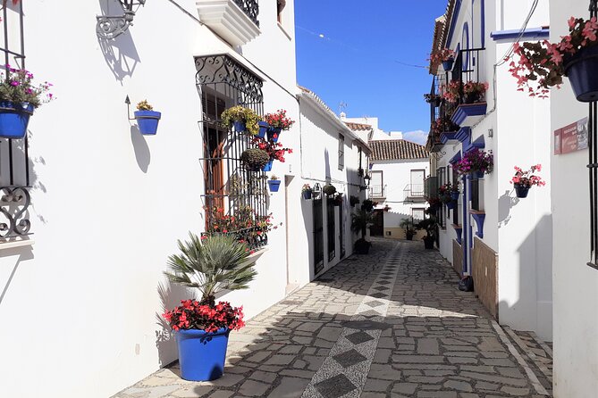 Private Trip in Gibraltar and Estepona from Marbella - Encounter with the Barbary Macaques at Apes Den