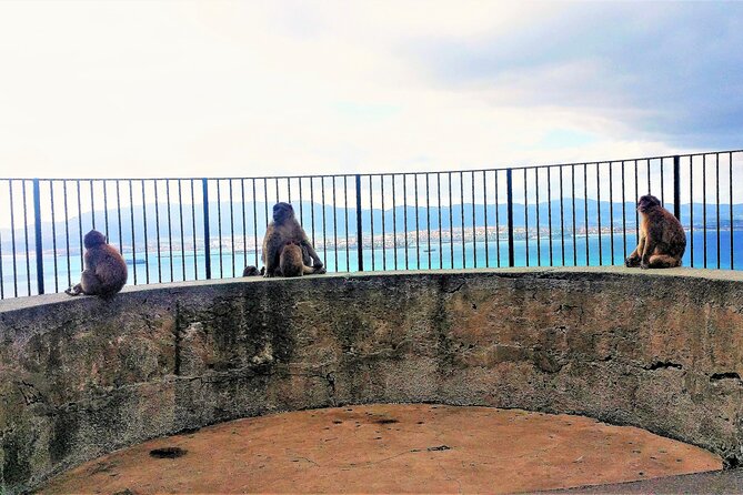 Private Trip in Gibraltar and Estepona from Marbella - Visiting the Museo Arqueologico de Estepona