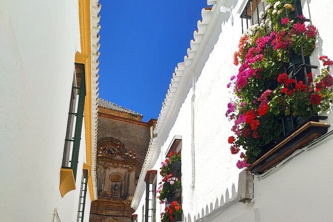 Private trip to Carmona from Seville: 5000 years of history - The Viewpoint from the Upper Fortress, Alcázar de Arriba