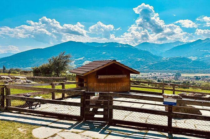 Private Trip to Heidi World Family Day from Zurich - Key Points