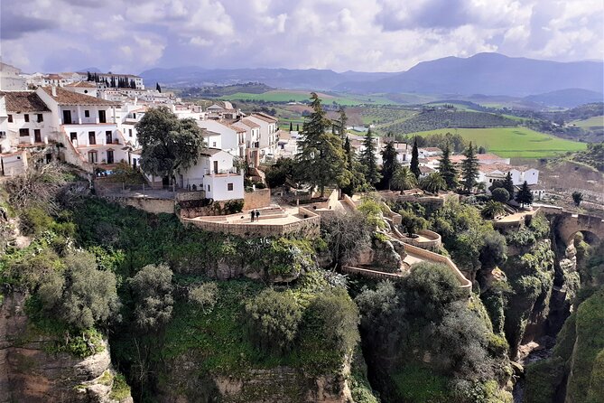 Private trip to Ronda from Costa del Sol - Tasting Local Wines at the Ronda Wine Museum