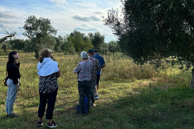 Private Trip to the Vineyards of Ginosa with tasting from Matera - Departure from Matera to Ginosa in Comfort and Style