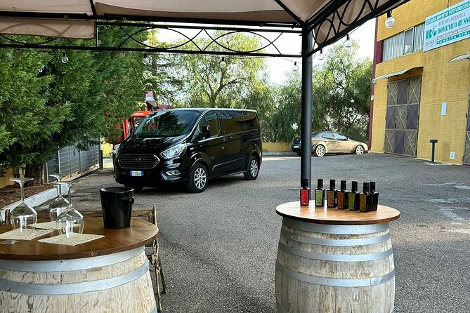 Private Trip to the Vineyards of Ginosa with tasting from Matera - Honest Review and What to Expect