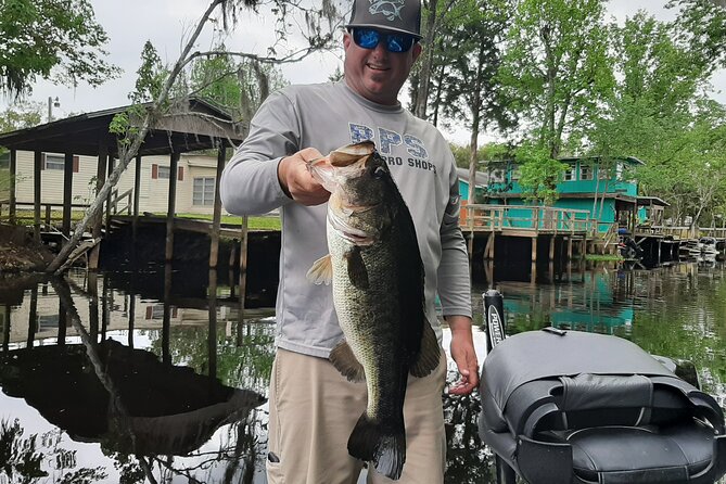Private Trophy Bass Harris Chain of Lakes Fishing Charter - Experience a Private Trophy Bass Fishing Adventure on Floridas Harris Chain of Lakes