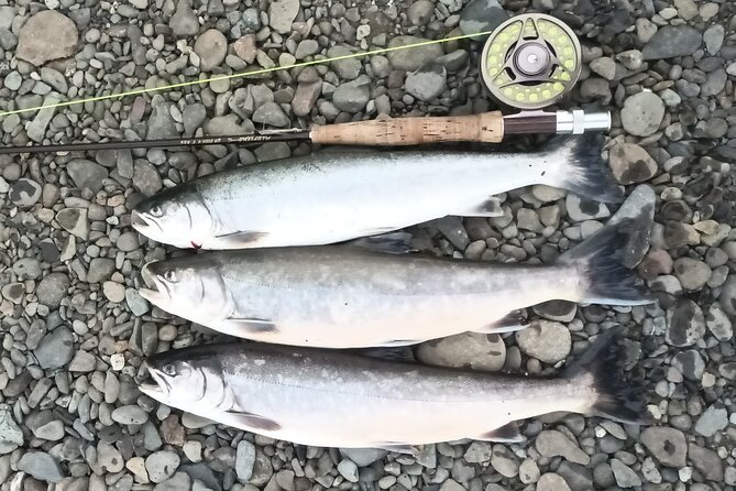 Private Trout and Char Fishing in Icelandic Serenity Experience - Lunch and Refreshments in the Wilderness