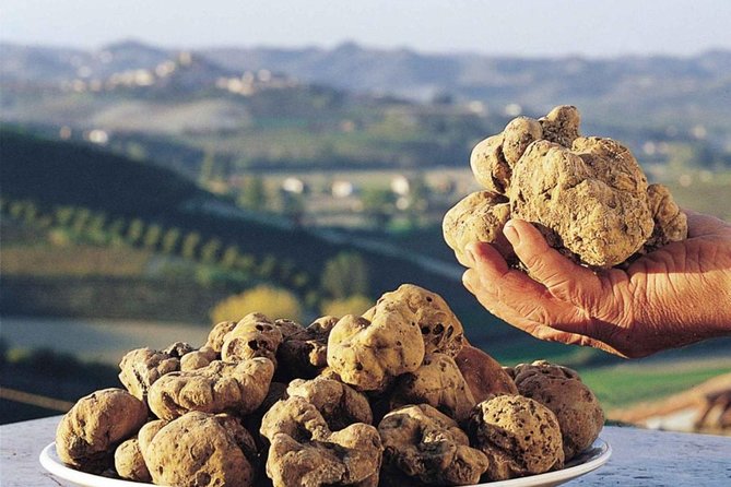 Private Truffle Hunt in Tuscany - Key Points