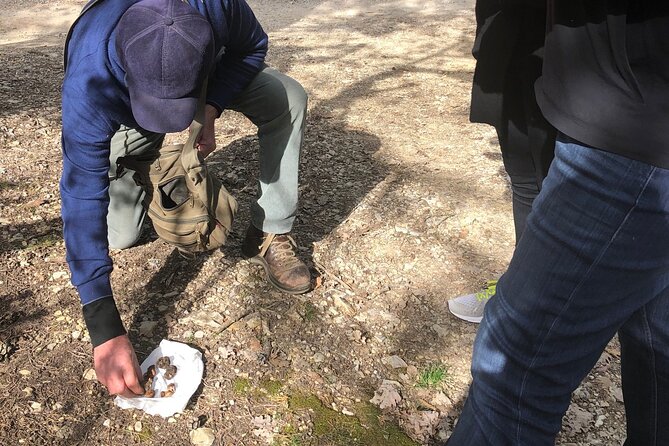 Private Truffle Hunt in Tuscany - Who Would Enjoy This Tour Most