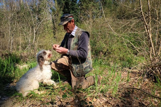 Private Truffle Hunting in Chianti - Key Points