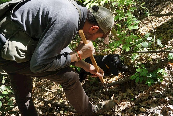 Private Truffle Hunting in Chianti - Meet Your Guide and Truffle Hunter in Tuscany