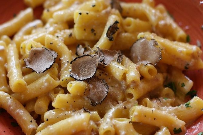 Private Truffle Hunting in Chianti - Forest Walk and Truffle Search with Trained Dogs