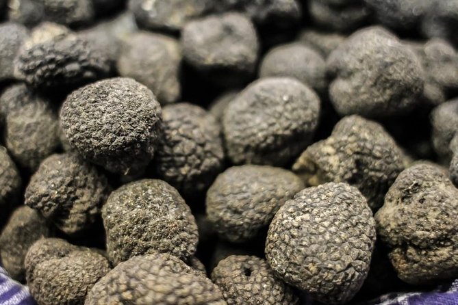 Private Truffle Hunting in Chianti - Wine and Olive Oil Tastings in Castellina in Chianti