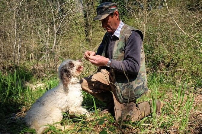 Private Truffle Hunting in Chianti from Florence - Key Points
