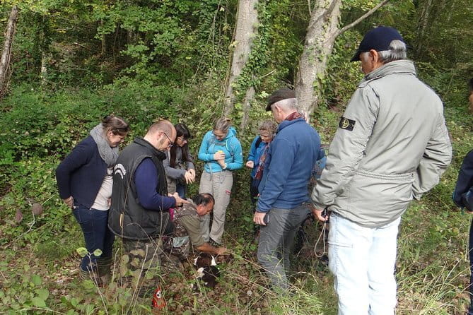 Private Truffle Hunting in Chianti from Florence - Logistics and Practicalities of the Tour