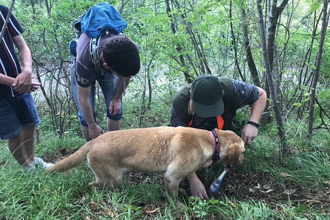 Private Truffle Hunting in Slovenia with meal - Zdenko Tartufi - Types of Truffles Found in Slovenian Istria