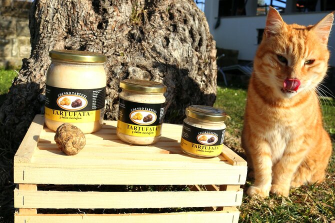 Private Truffle Hunting in Slovenia with meal - Zdenko Tartufi - Logistics and Meeting Arrangements