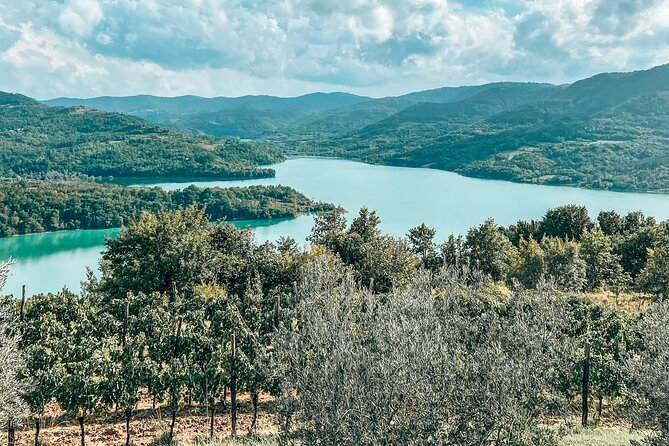 Private Truffle Hunting with Cooking Session - Discover the Unique Experience of Private Truffle Hunting in Istria