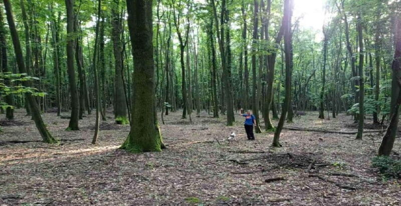 Private TruffleHunting Tour from Belgrade  Lunch with Wine - Discovering the Sopot Forests: The Truffle Search in Serbia