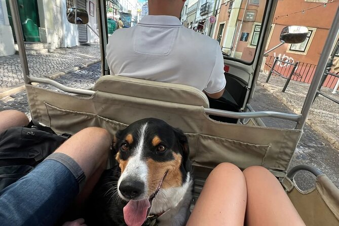 Private Tuk-Tuk Lisbon Tour - Exploring Alfama’s Charm