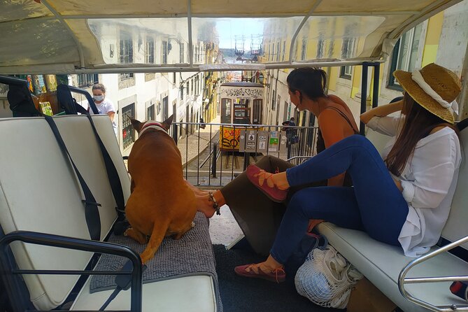 Private tuk tuk tour in old city Lisbon (Standard-1h30) - Exploring Commerce Square’s Iconic Views